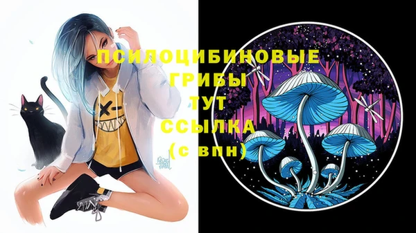 соль курить ск Надым