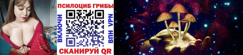 Купить  Чудово  Псилоцибиновые грибы MAGIC MUSHROOMS 